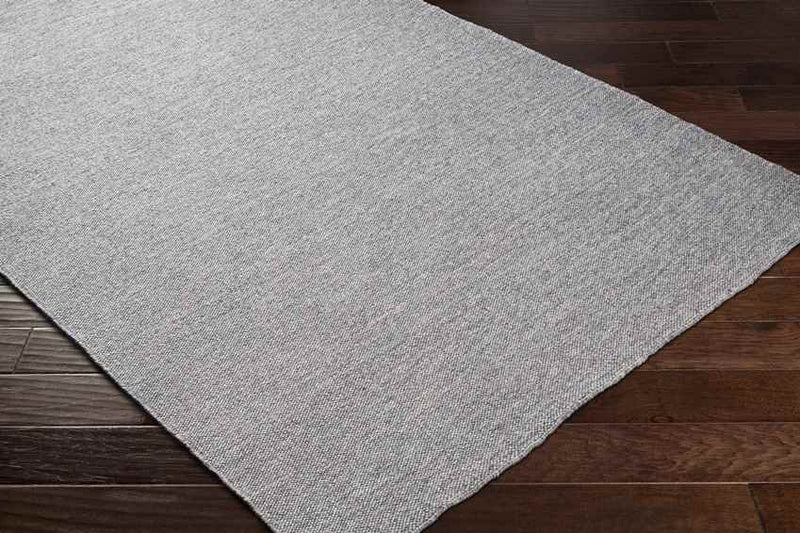 Bijvanck Modern Gray Area Rug