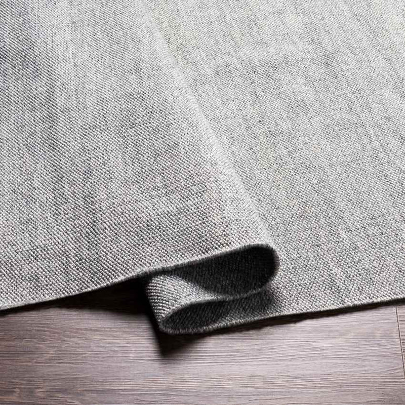 Bijvanck Modern Gray Area Rug