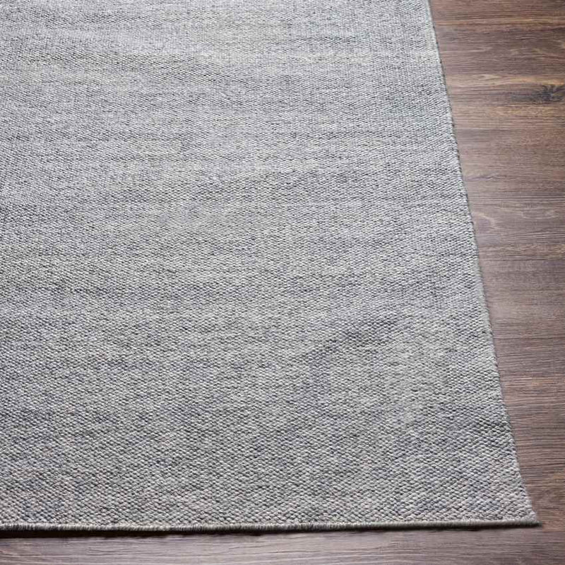 Bijvanck Modern Gray Area Rug