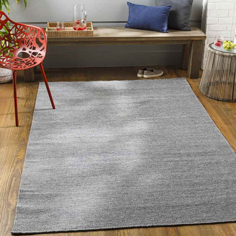 Bijvanck Modern Gray Area Rug