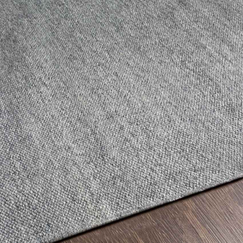 Bijvanck Modern Gray Area Rug