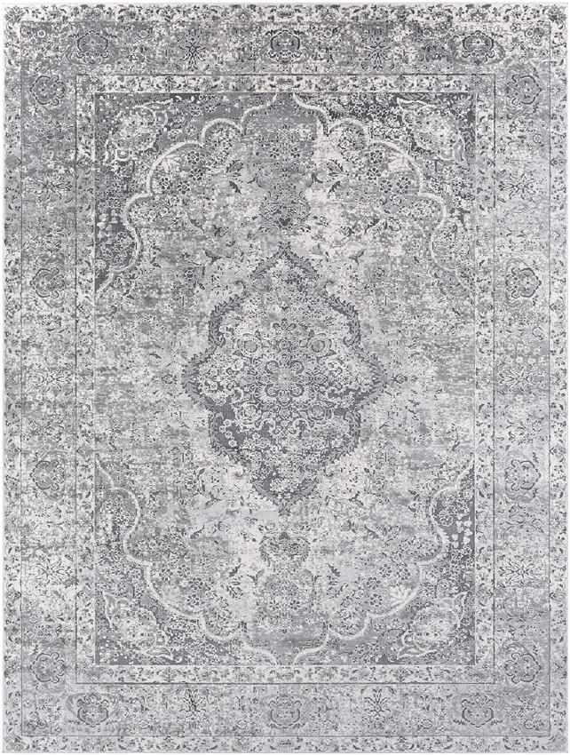 Groet Traditional Medium Gray Area Rug