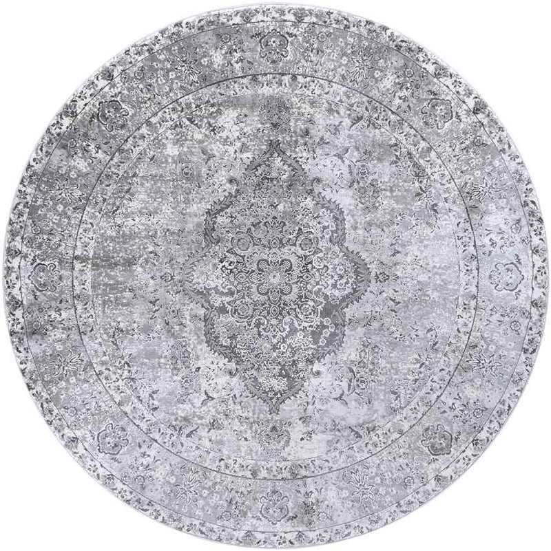 Groet Traditional Medium Gray Area Rug