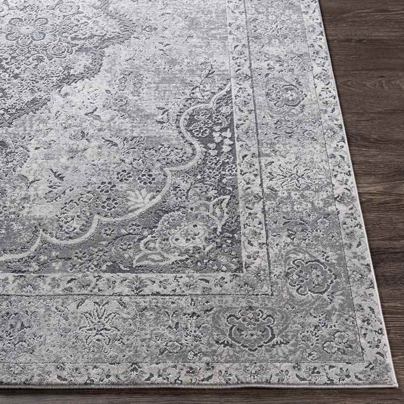 Groet Traditional Medium Gray Area Rug