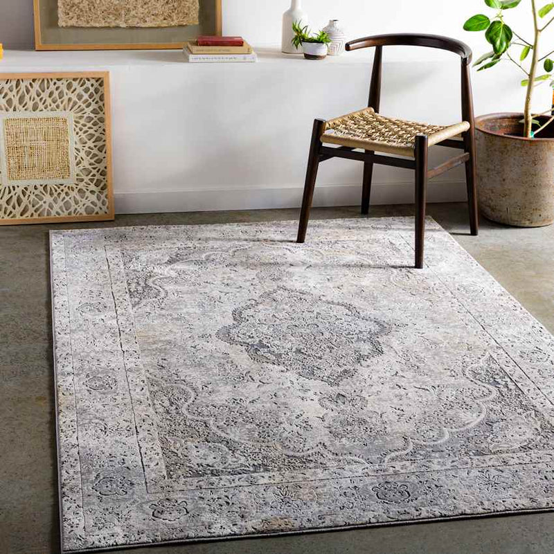 Groet Traditional Medium Gray Area Rug