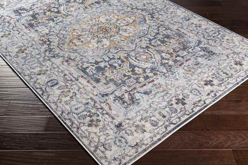 Hauwert Traditional Light Gray Area Rug