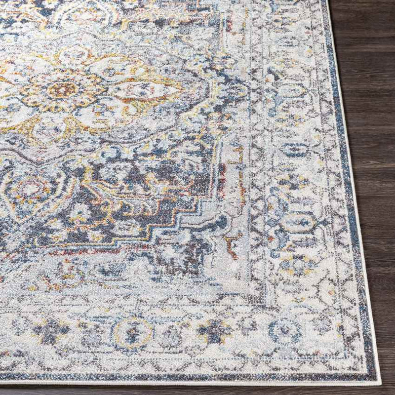 Hauwert Traditional Light Gray Area Rug