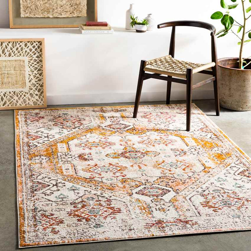 Heemskerk Traditional Burnt Orange Area Rug