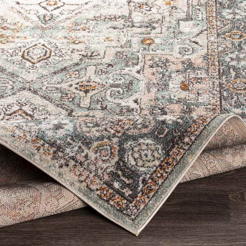 Heiloo Traditional Brick Area Rug