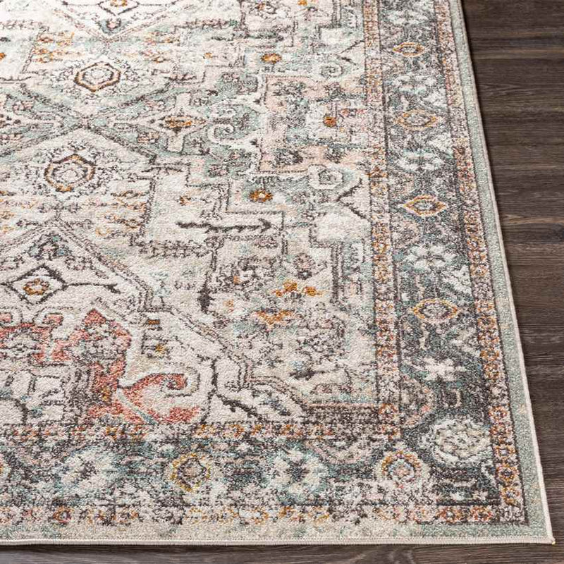 Heiloo Traditional Brick Area Rug