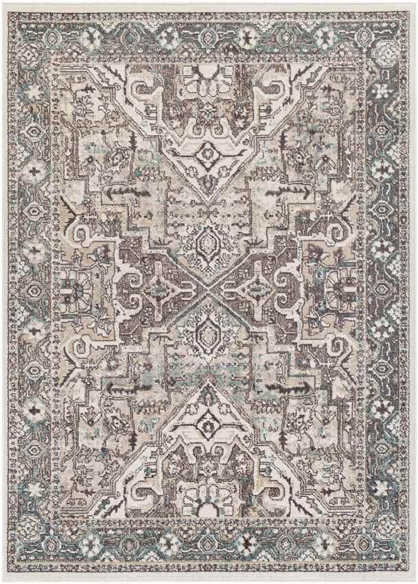 Heiloo Traditional Charcoal Area Rug