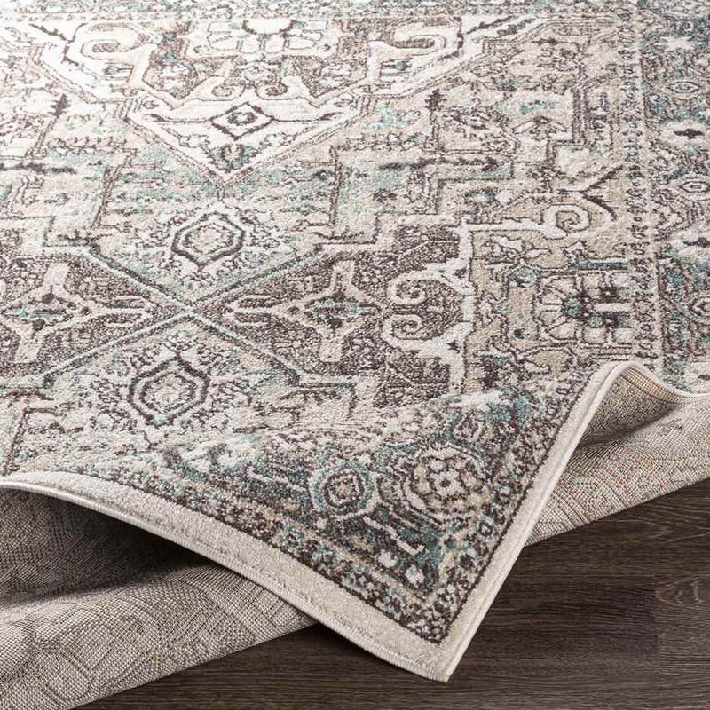 Heiloo Traditional Charcoal Area Rug