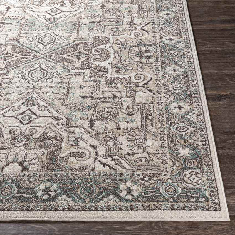 Heiloo Traditional Charcoal Area Rug