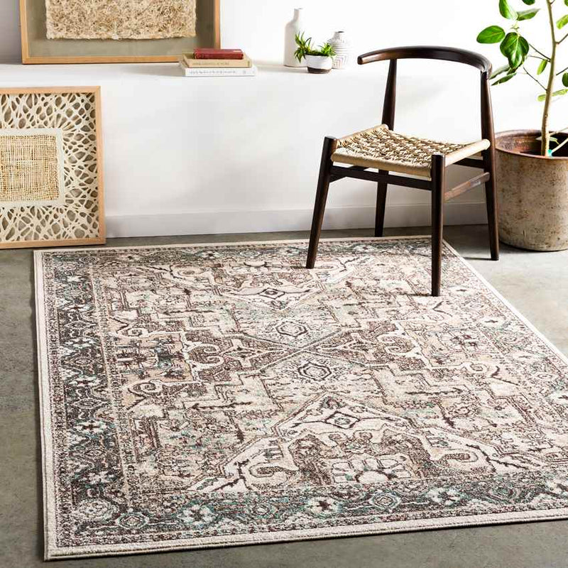 Heiloo Traditional Charcoal Area Rug