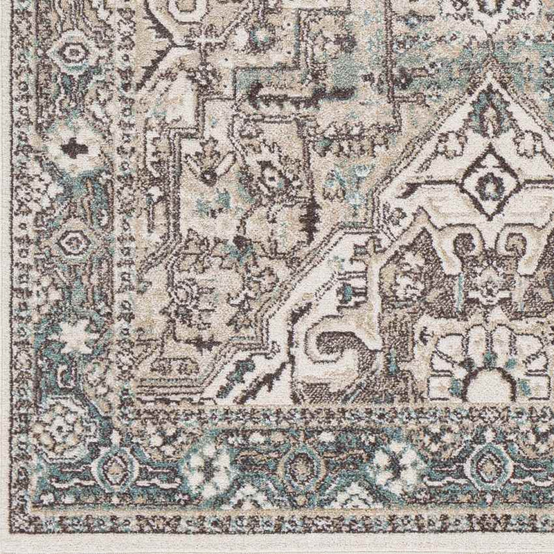 Heiloo Traditional Charcoal Area Rug