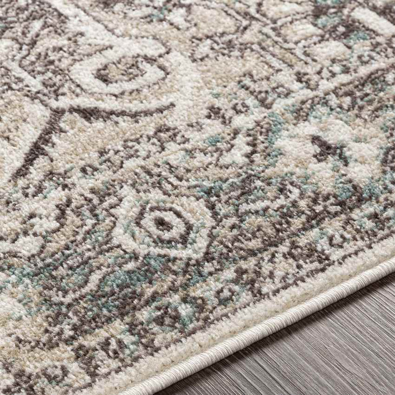 Heiloo Traditional Charcoal Area Rug