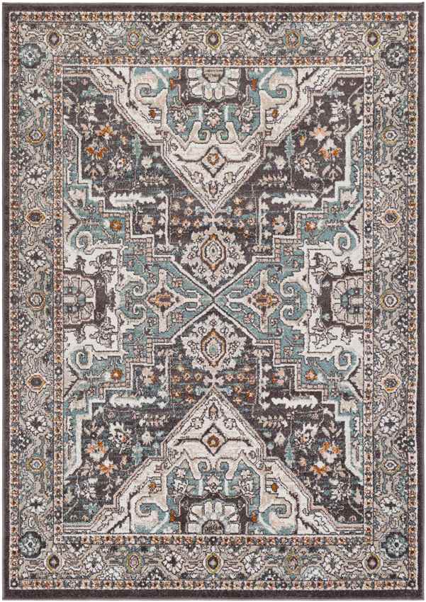 Heiloo Traditional Burnt Orange Area Rug