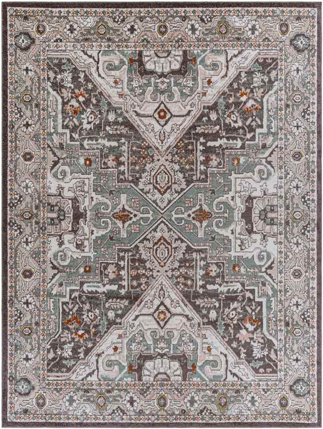 Heiloo Traditional Burnt Orange Area Rug