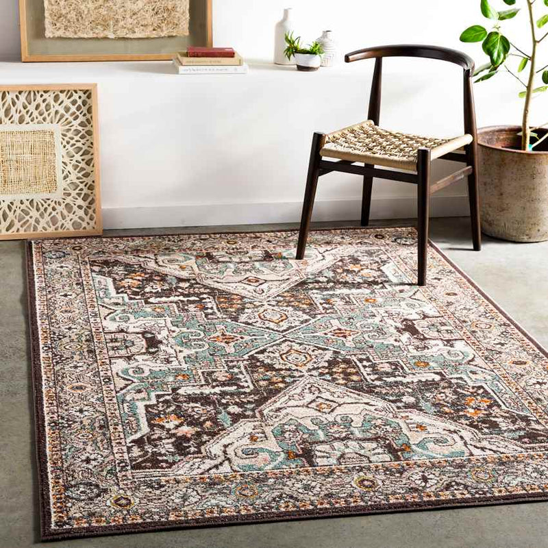 Heiloo Traditional Burnt Orange Area Rug