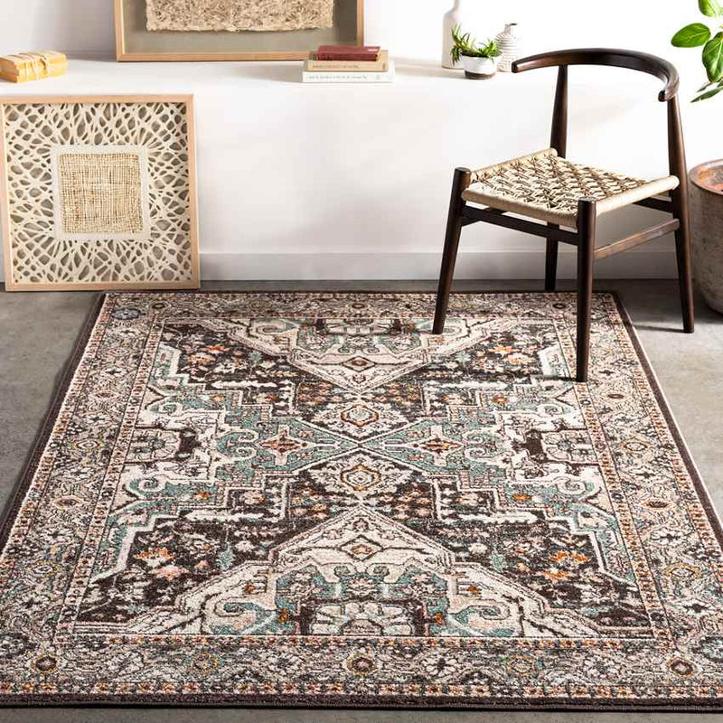 Heiloo Traditional Burnt Orange Area Rug