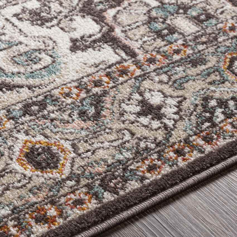 Heiloo Traditional Burnt Orange Area Rug