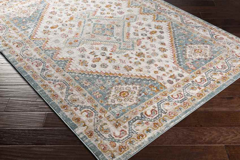 Holysloot Traditional Aqua Area Rug