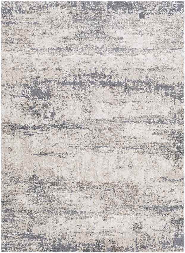 Oosterend Modern Charcoal Area Rug