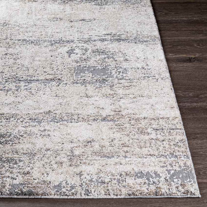 Oosterend Modern Charcoal Area Rug