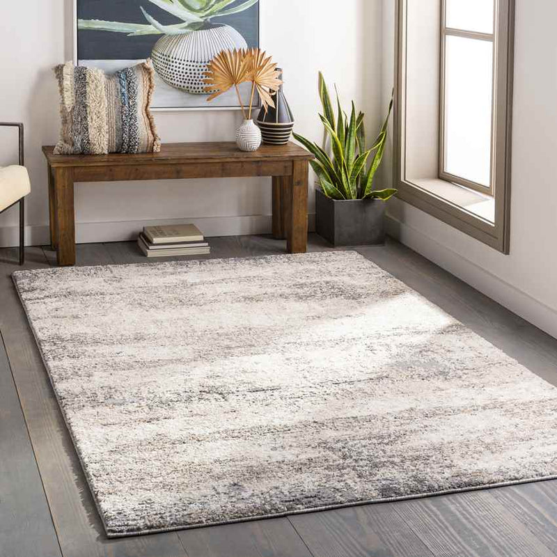 Oosterend Modern Charcoal Area Rug