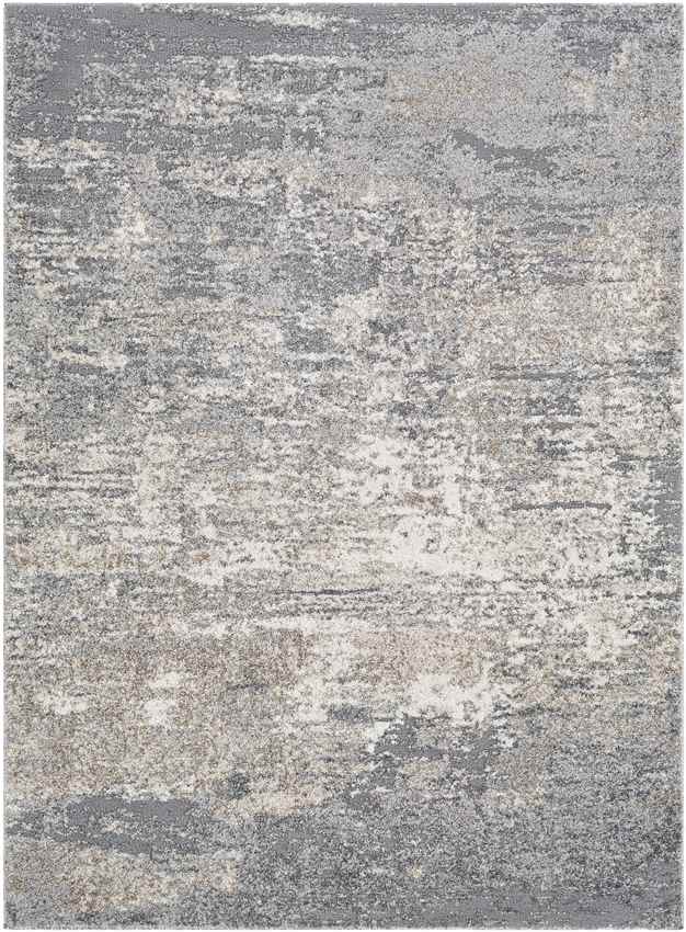 Oostzaan Modern Medium Gray Area Rug