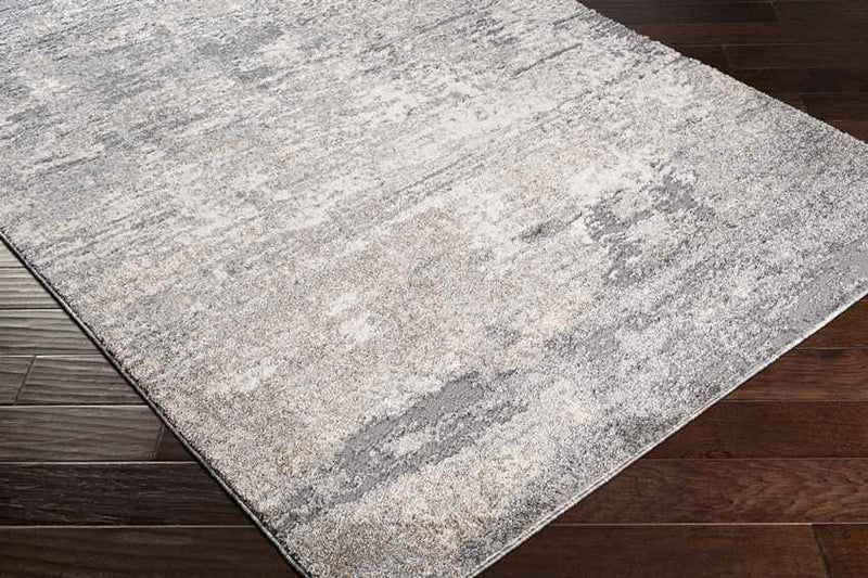 Oostzaan Modern Medium Gray Area Rug