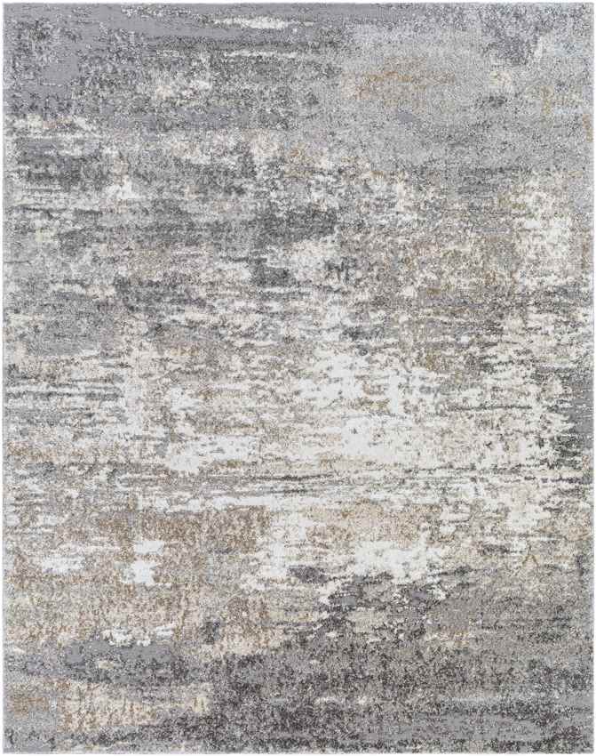 Oostzaan Modern Medium Gray Area Rug