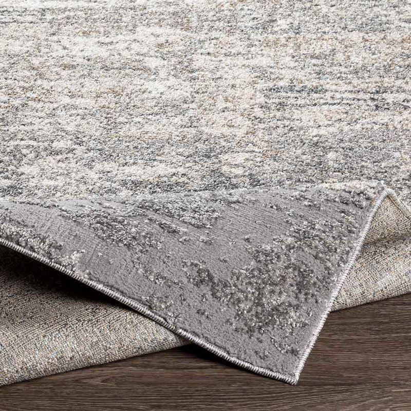 Oostzaan Modern Medium Gray Area Rug