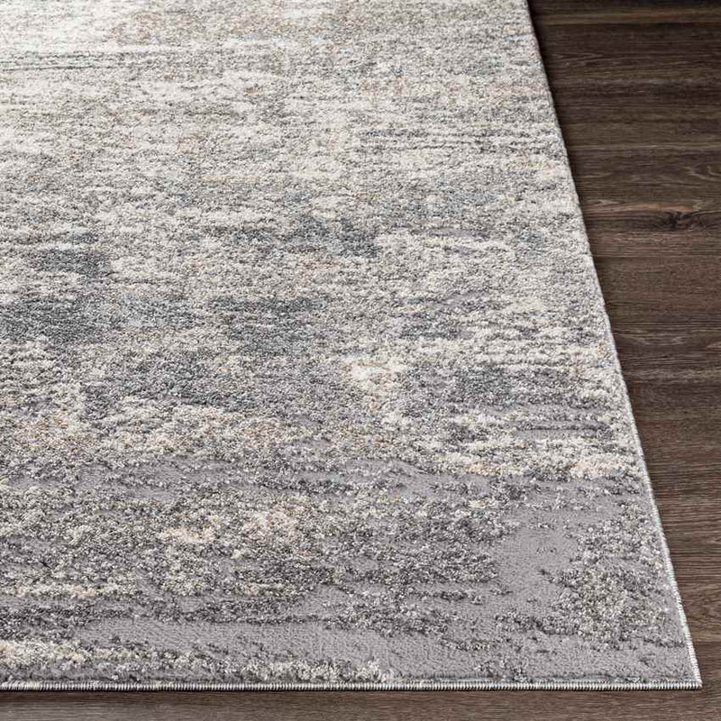 Oostzaan Modern Medium Gray Area Rug