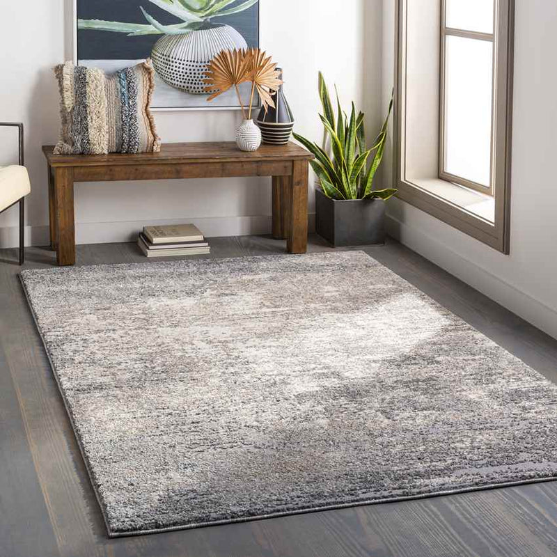 Oostzaan Modern Medium Gray Area Rug