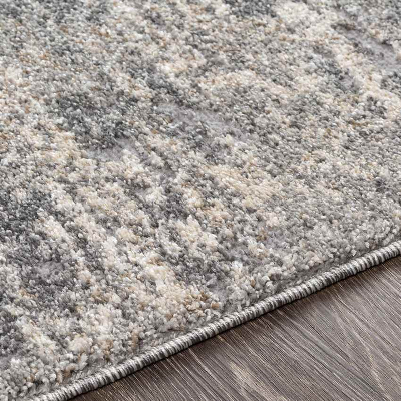 Oostzaan Modern Medium Gray Area Rug