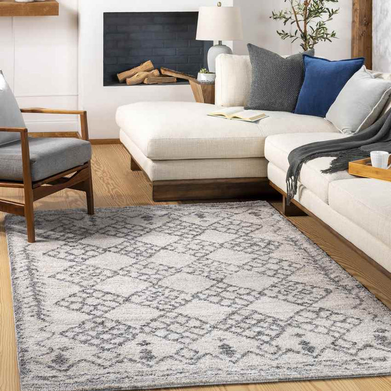 Opmeer Global Medium Gray Area Rug