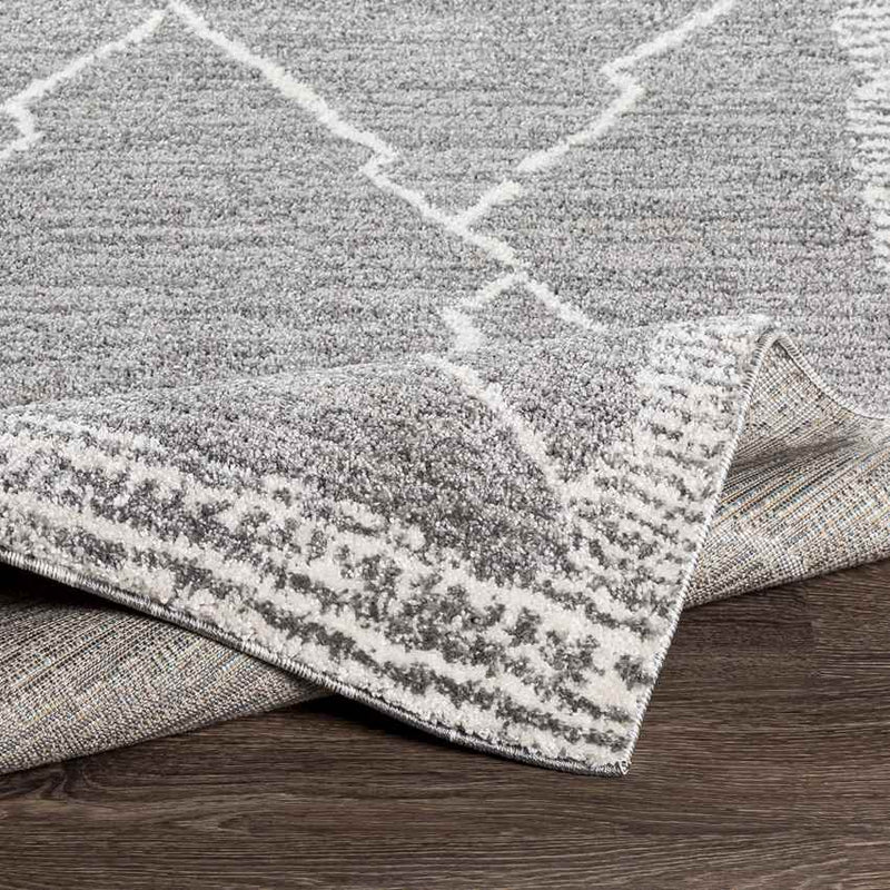 Opperdoes Global Medium Gray Area Rug