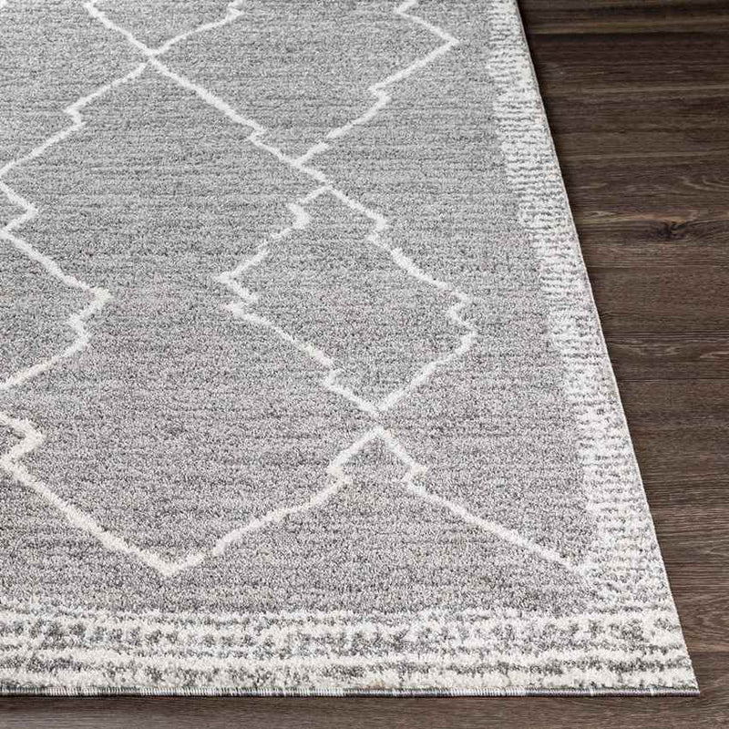 Opperdoes Global Medium Gray Area Rug