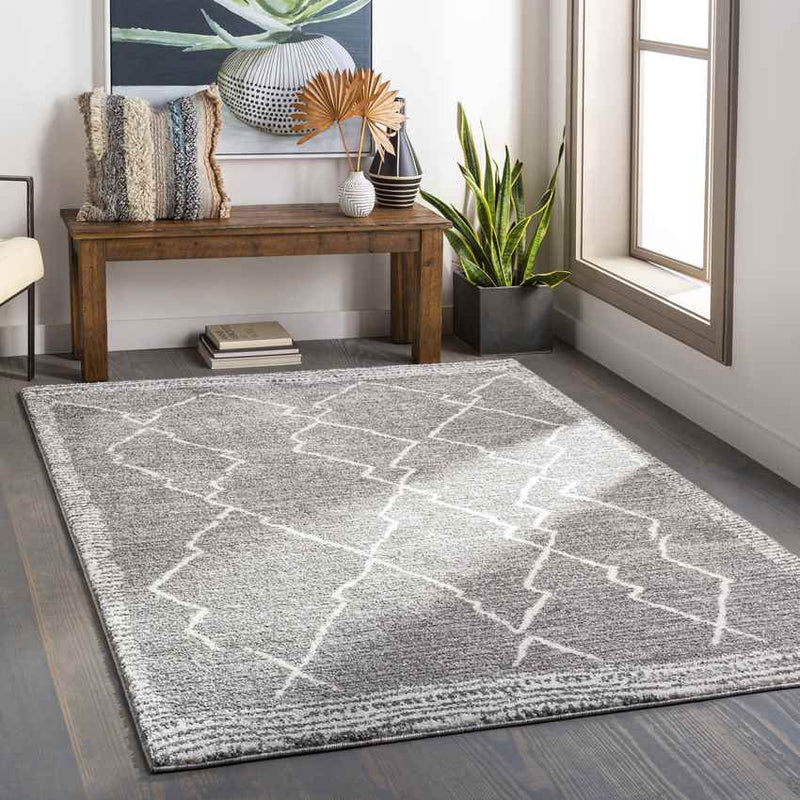 Opperdoes Global Medium Gray Area Rug