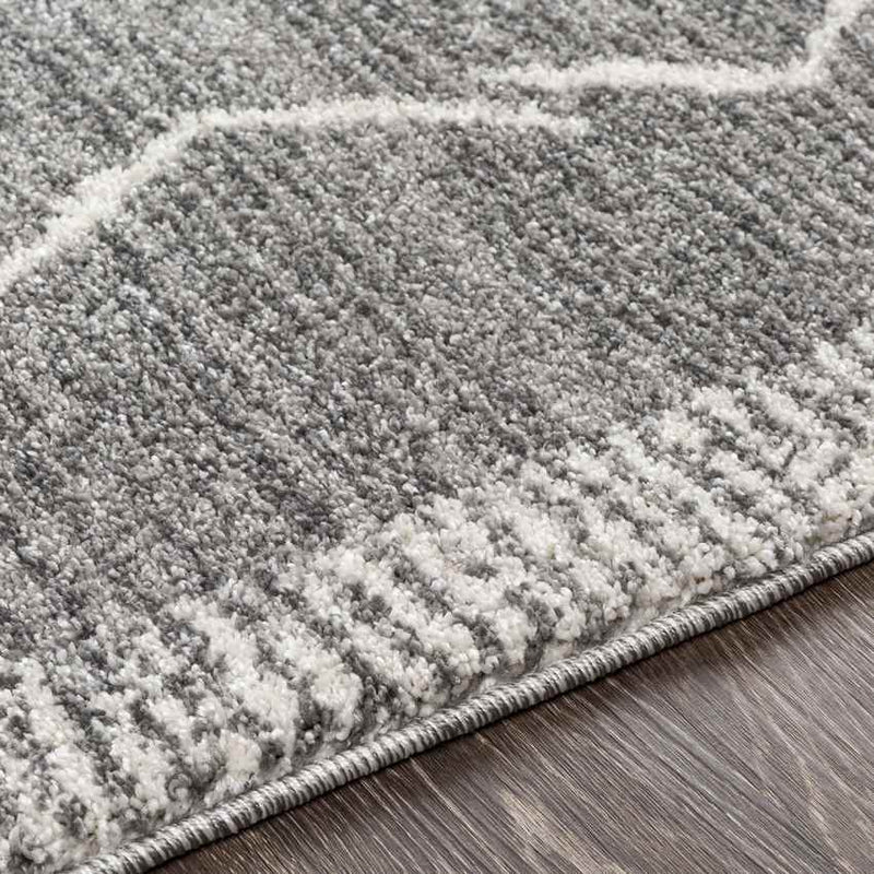 Opperdoes Global Medium Gray Area Rug