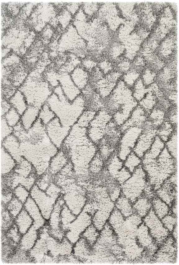 Oudorp Modern Medium Gray Area Rug