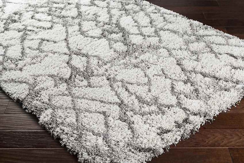 Oudorp Modern Medium Gray Area Rug