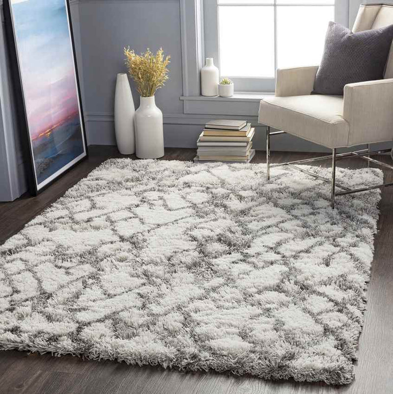 Oudorp Modern Medium Gray Area Rug