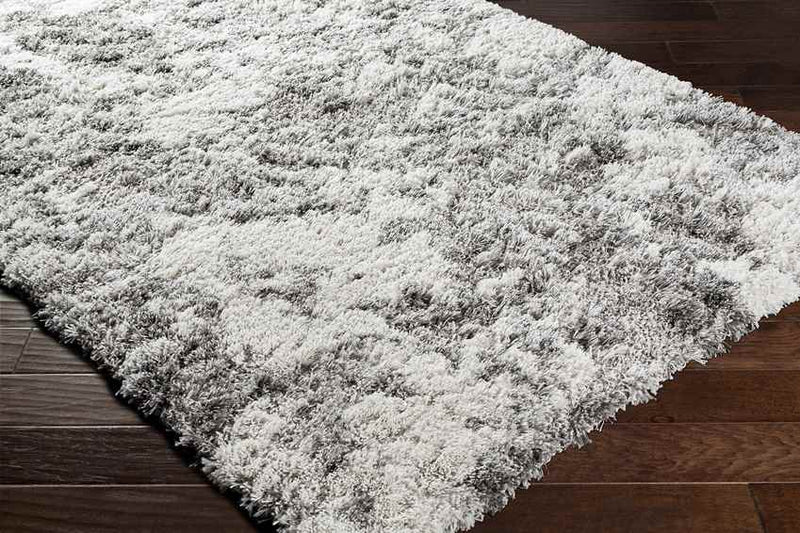 Petten Modern Light Gray Area Rug