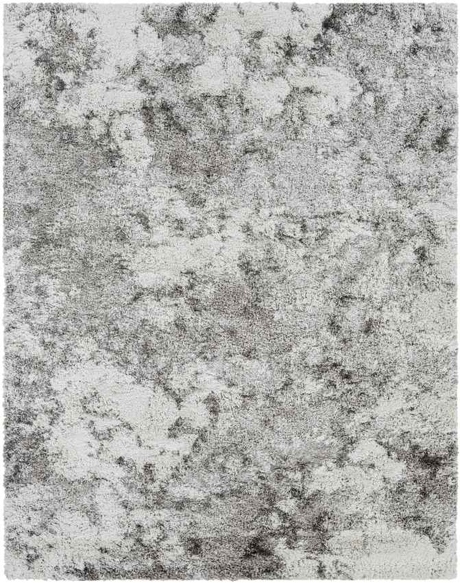 Petten Modern Light Gray Area Rug