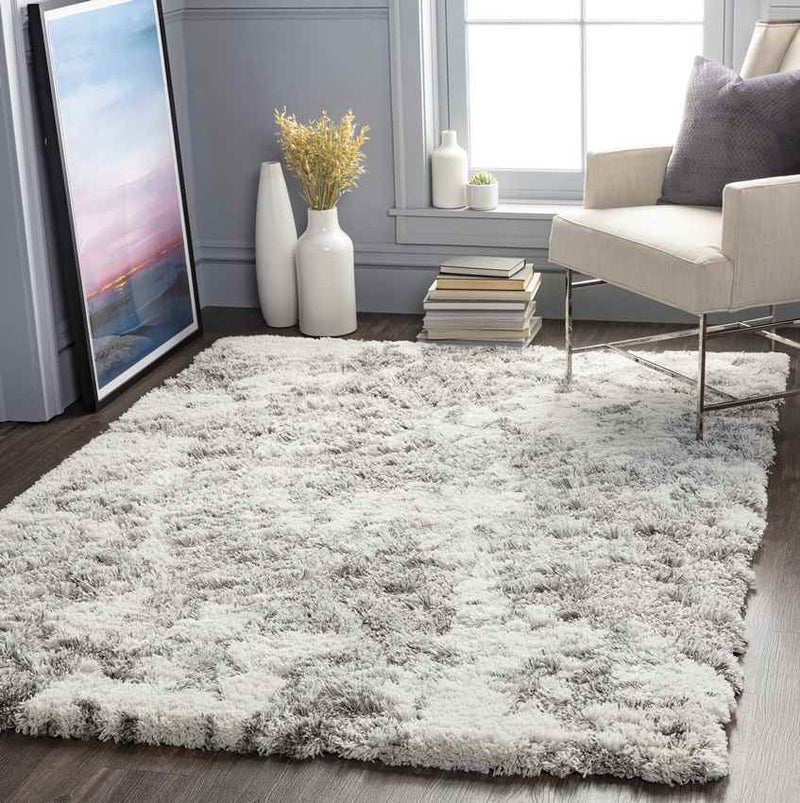 Petten Modern Light Gray Area Rug