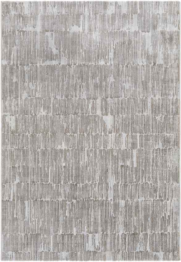 Schagen Modern Light Gray Area Rug