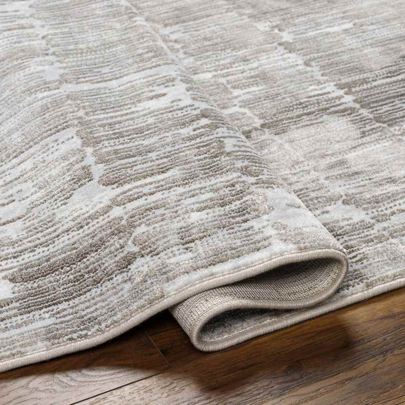 Schagen Modern Light Gray Area Rug