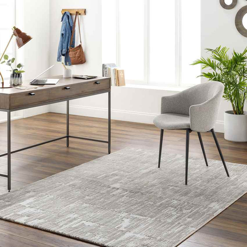 Schagen Modern Light Gray Area Rug